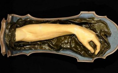 Anna Morandi Manzolini – Fantastic Anatomy in Wax