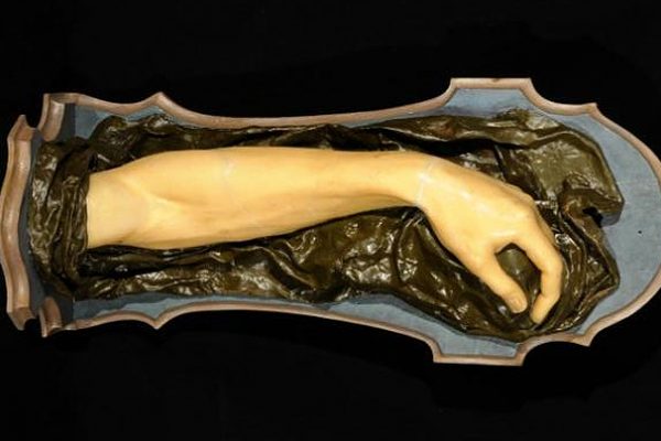 Anna Morandi Manzolini – Fantastic Anatomy in Wax